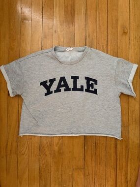Yale Grey Crop Sweatshirt Top